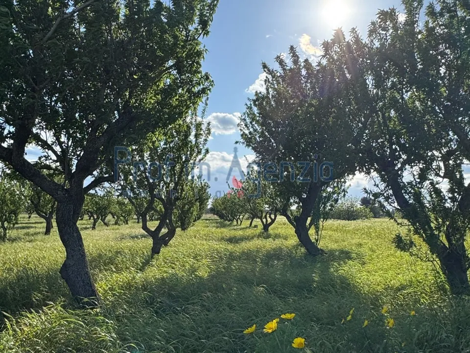 Terreno en Carovigno, Brindisi - foto 2